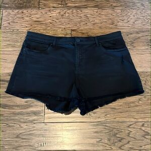 Kut From The Kloth Jane High Rise Short Size 18